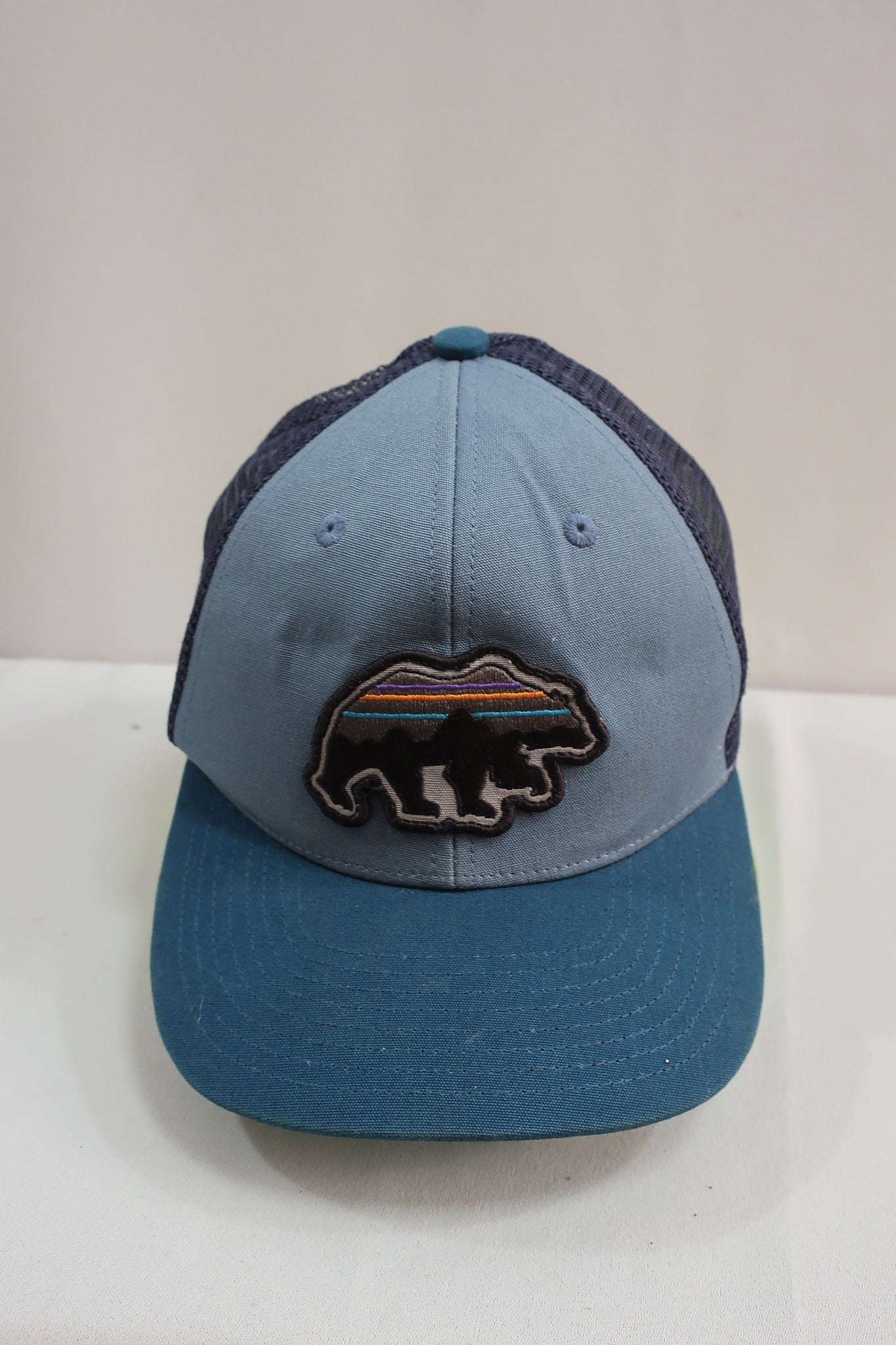 PATAGONIA kepurė