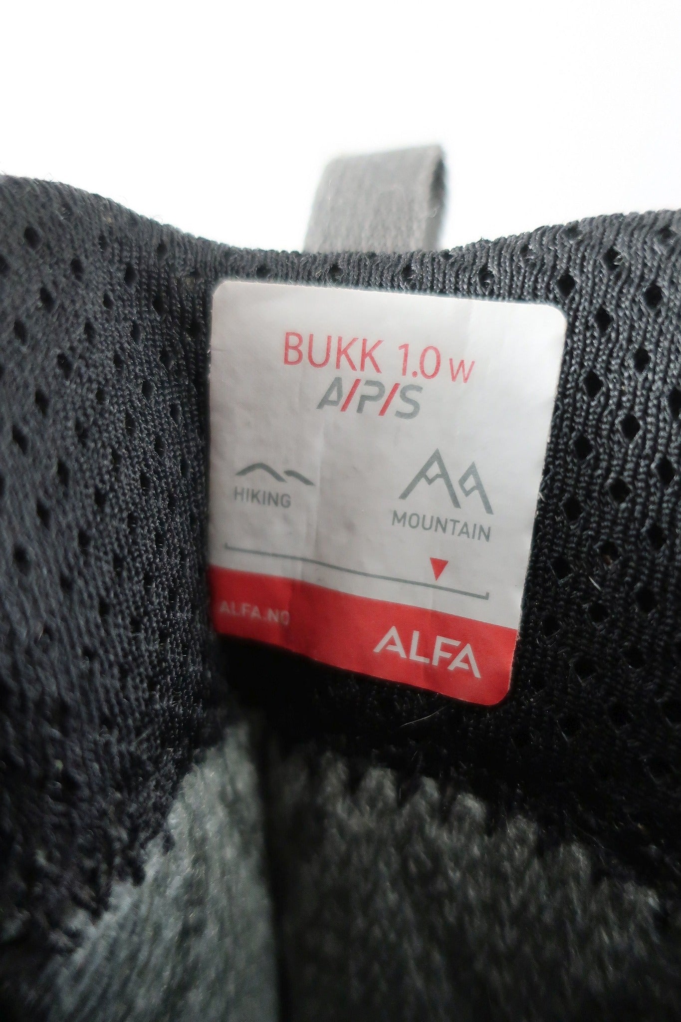 ALFA laisvalaikio, žygio batai su Gore-tex 38  dydis.