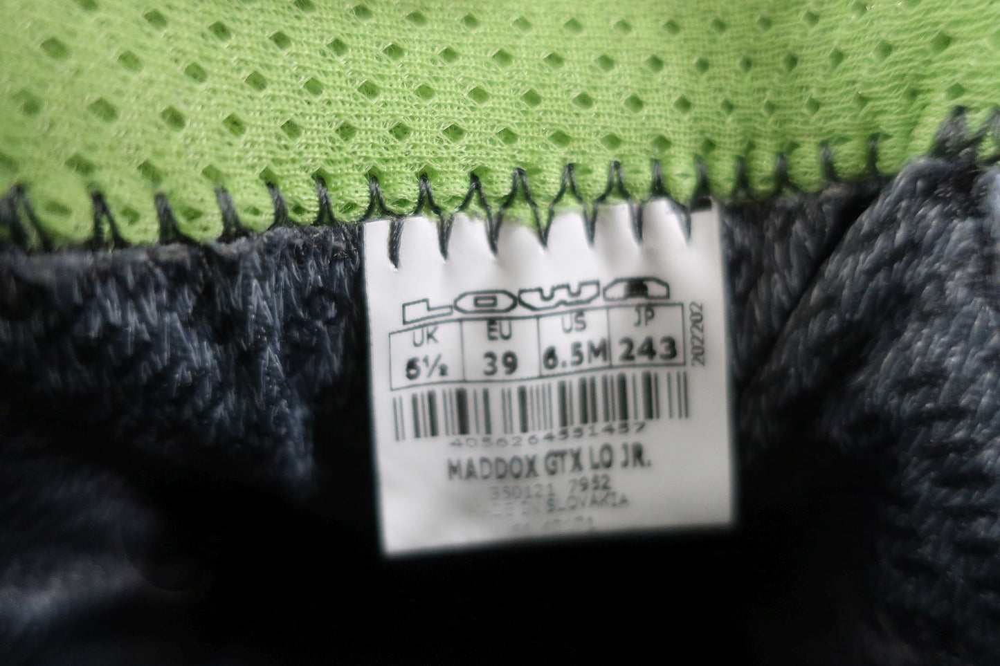 LOWA laisvalaikio batai su Gore-tex 38,5 dydis