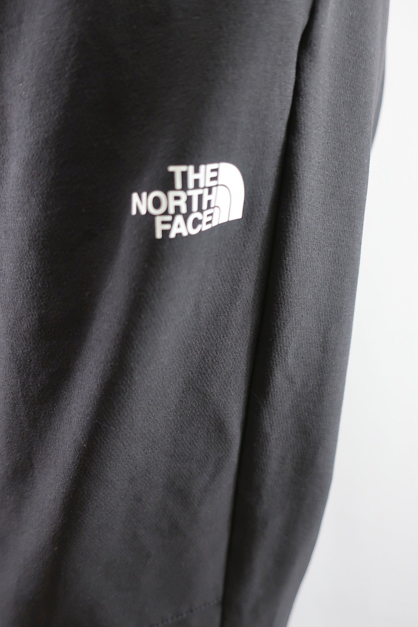 THE NORTH FACE vyriškos laisvalaikio, trekingo kelnės M dydis