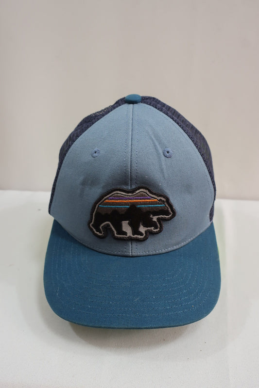 PATAGONIA kepurė