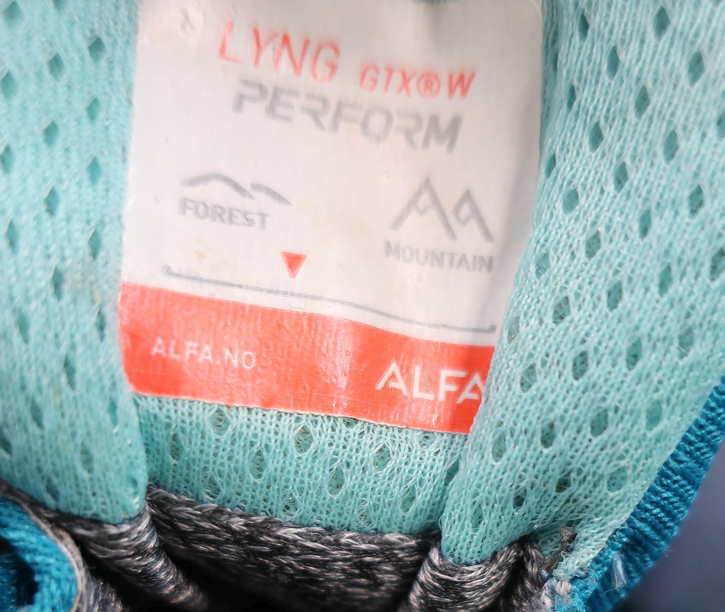 ALFA laisvalaikio, žygio batai su Gore-tex 36 dydis
