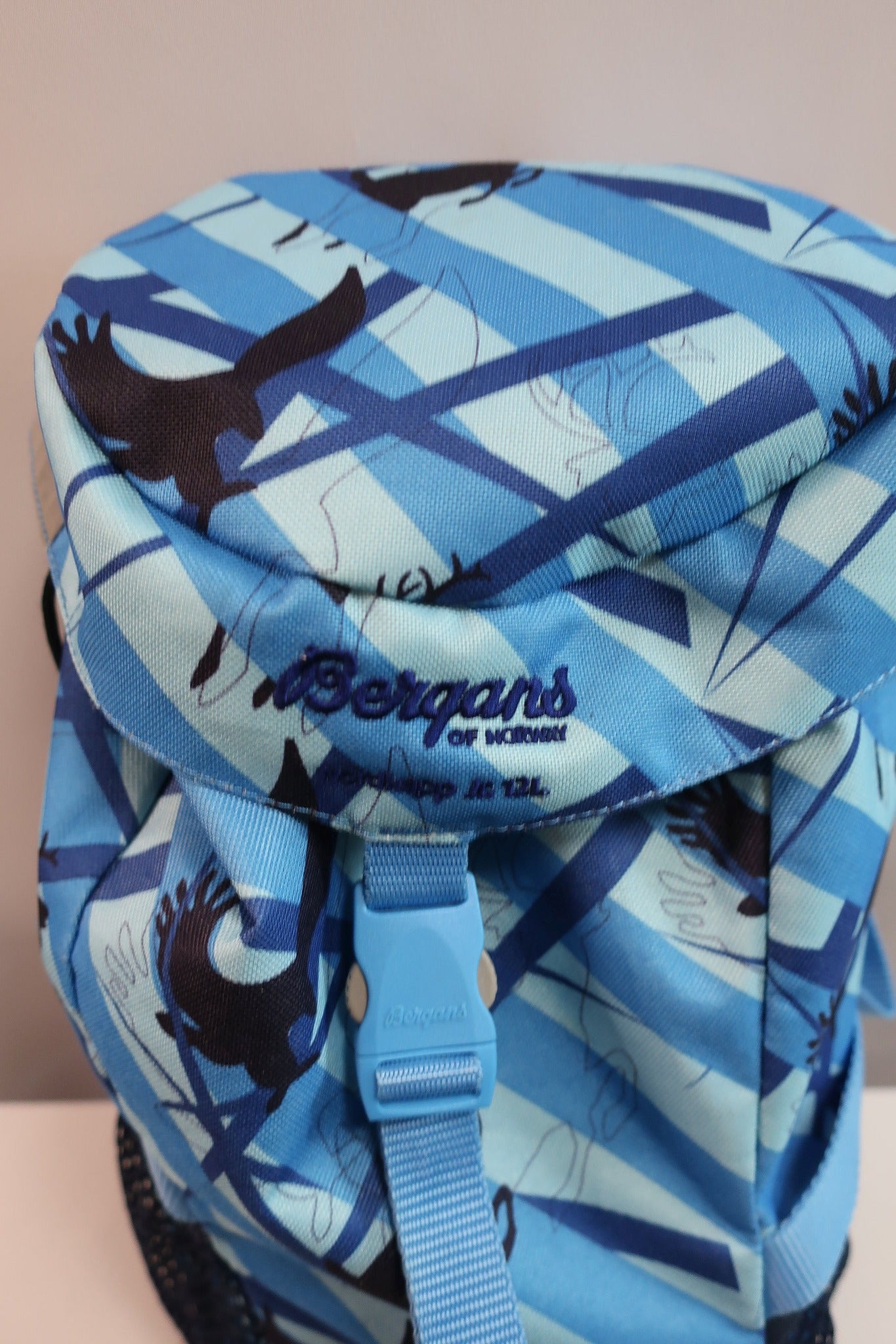 BERGANS vaikiška kuprinė 12 l talpos