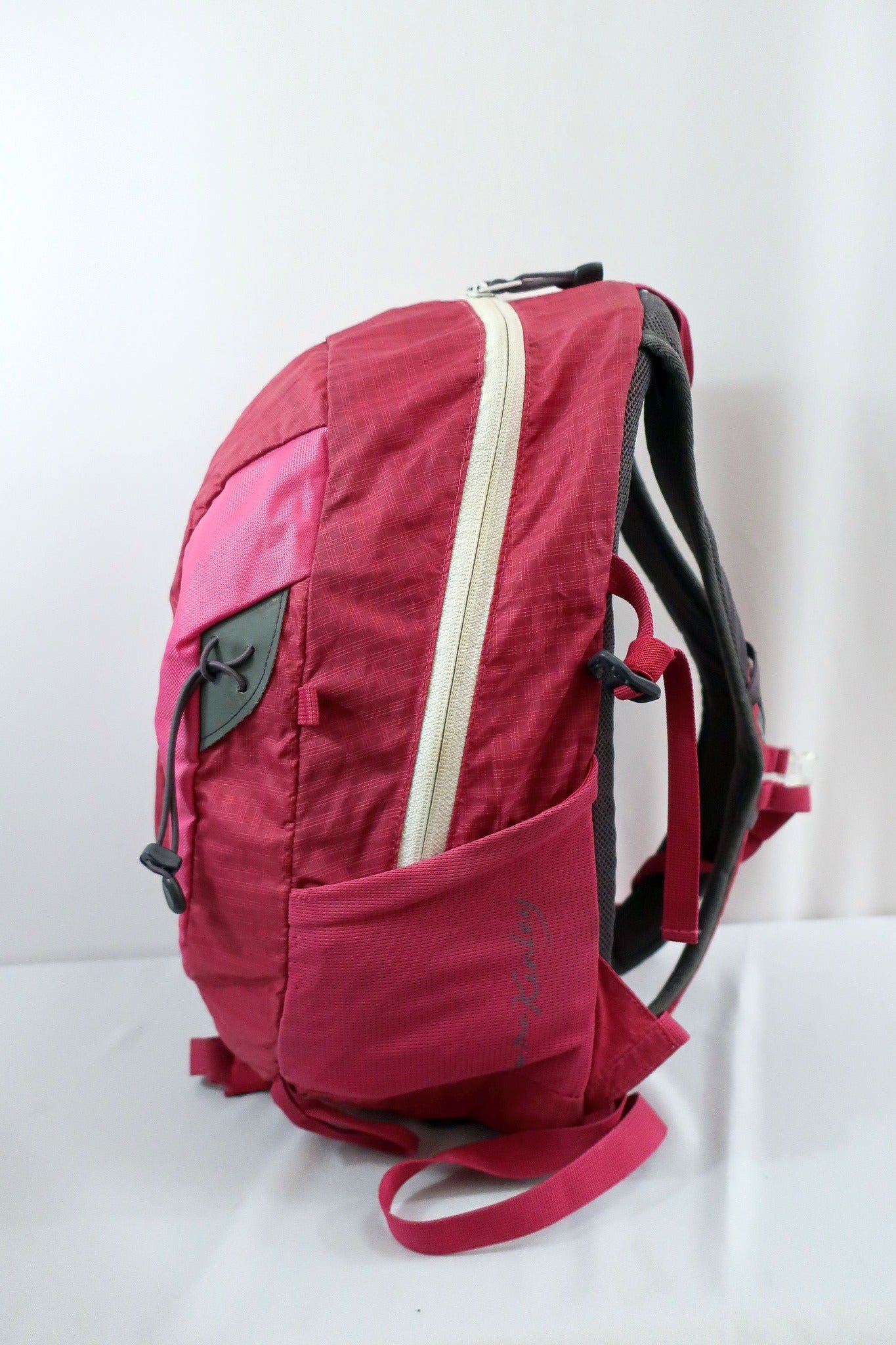 McKINLEY kuprinė 20 l talpos